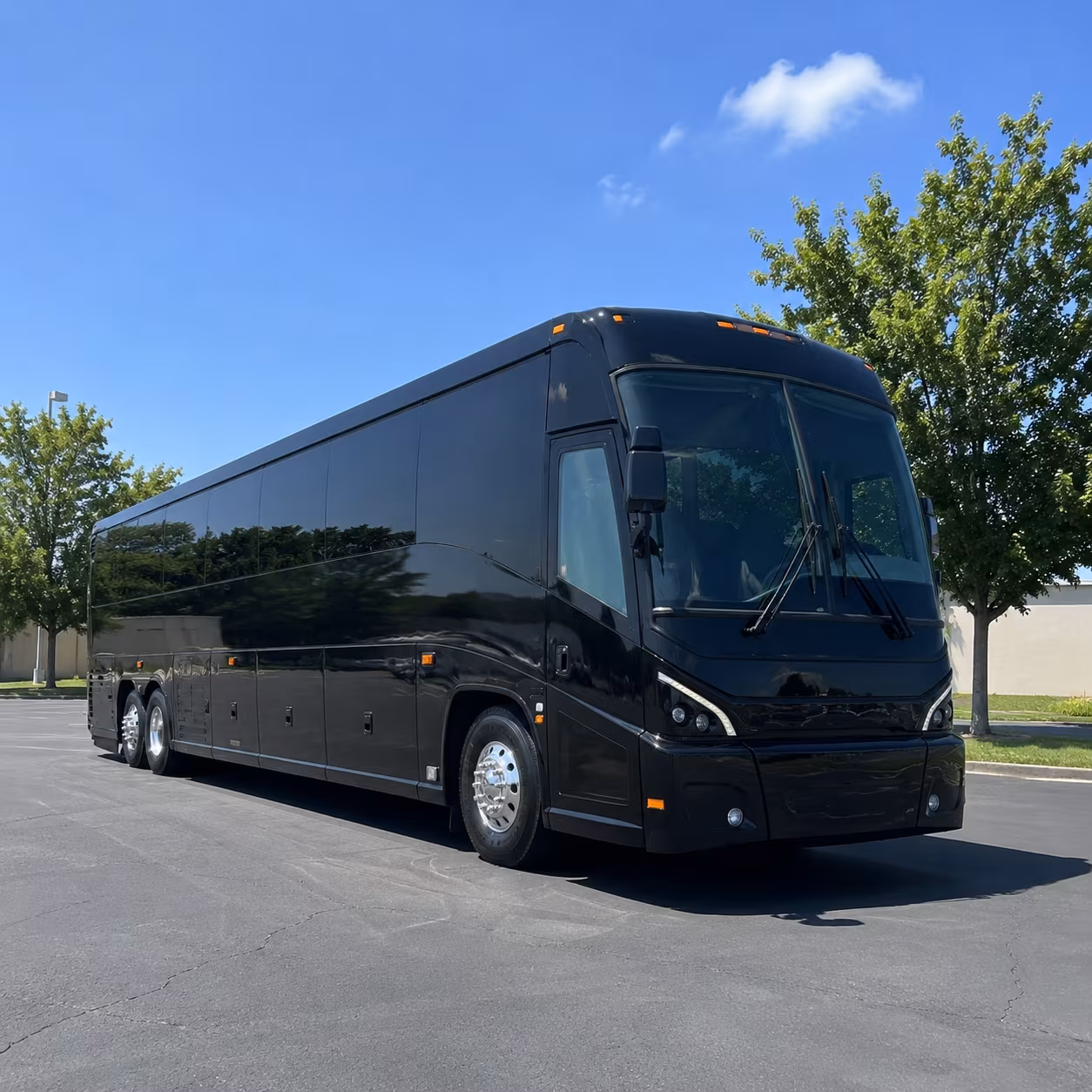 affordable tampa wedding charter bus prices for every budget